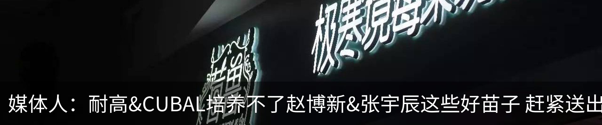 最新动态