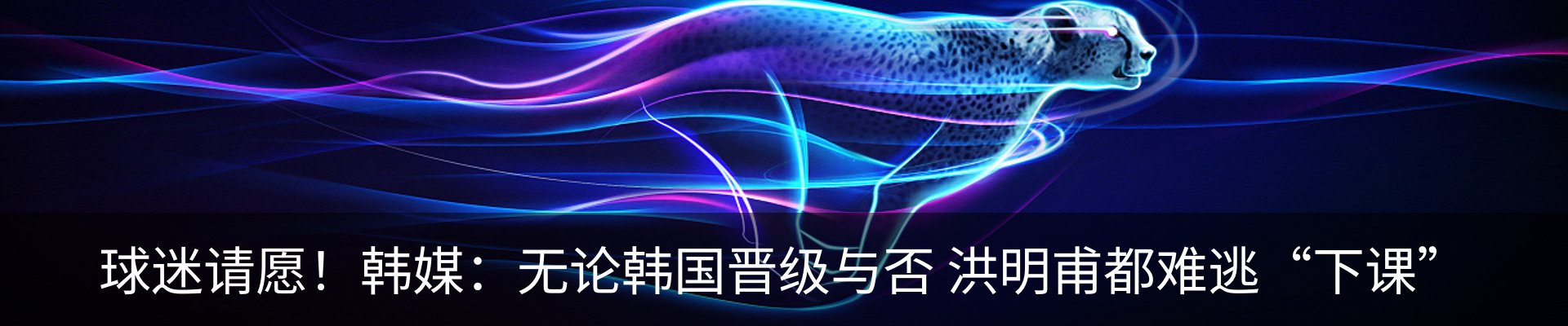 最新动态